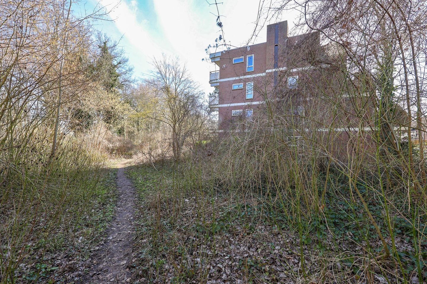 Photo 34 of Groenhof 113