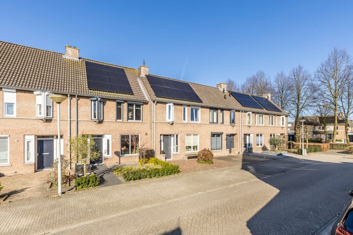 Cloete 18 main image