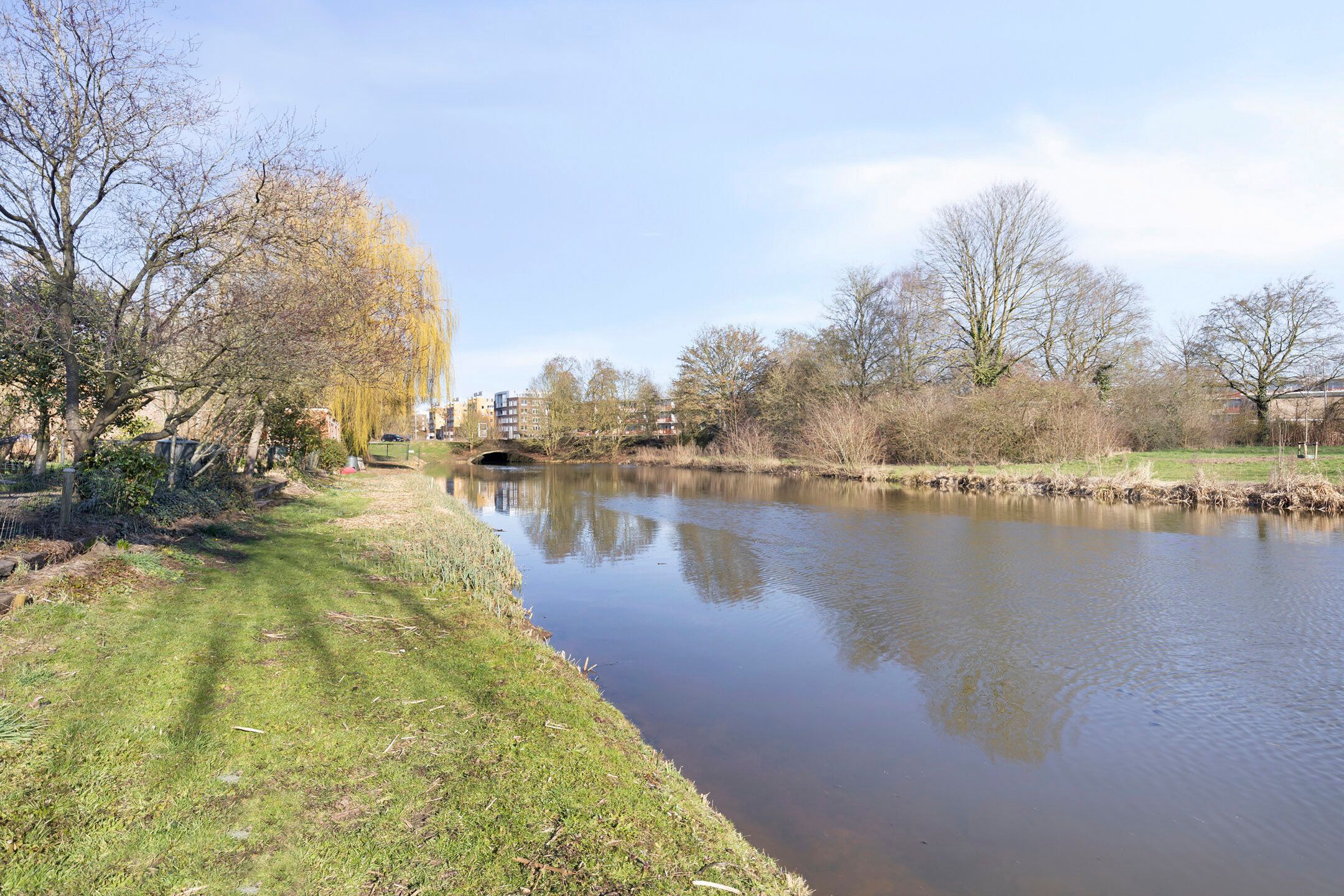 Photo 57 of Rietbergstraat 11