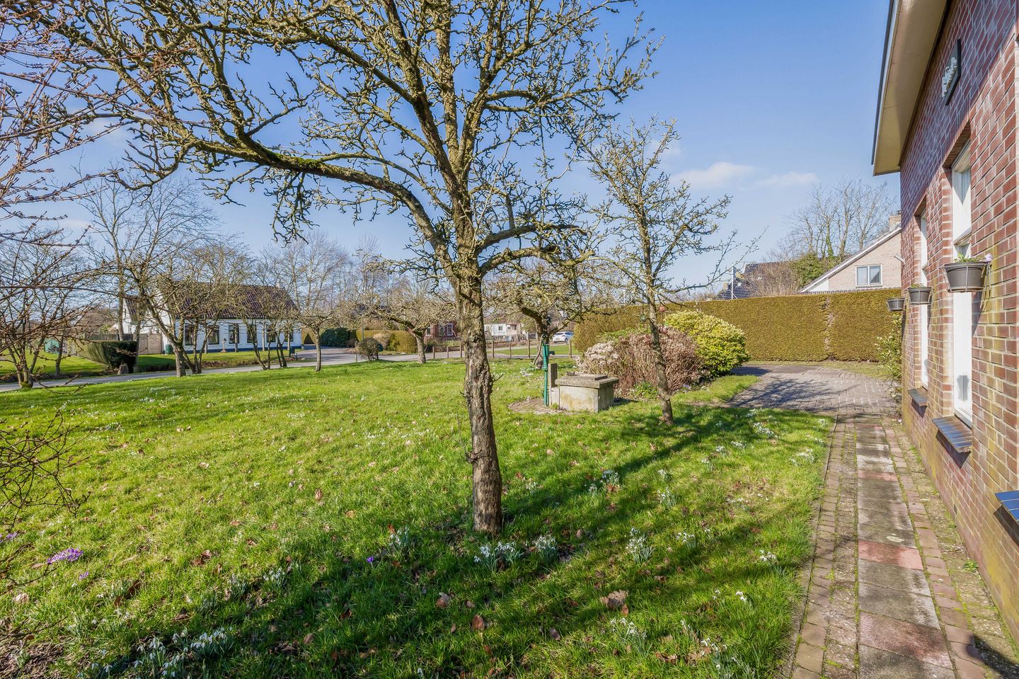 Foto 40 van De Feart 19