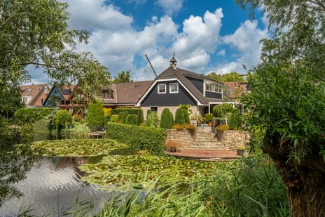 Venusschelp 9 secondary image