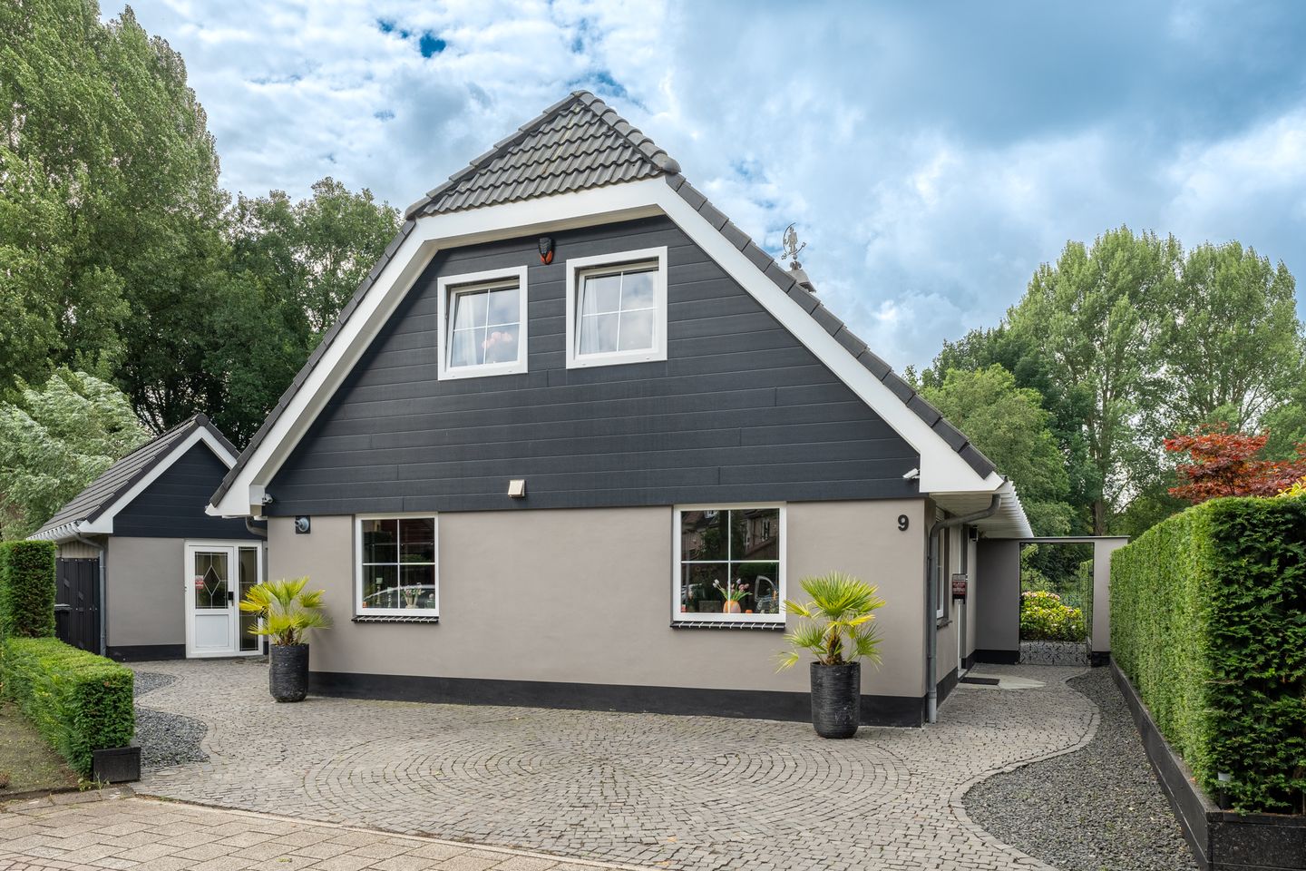 Foto 5 van Venusschelp 9