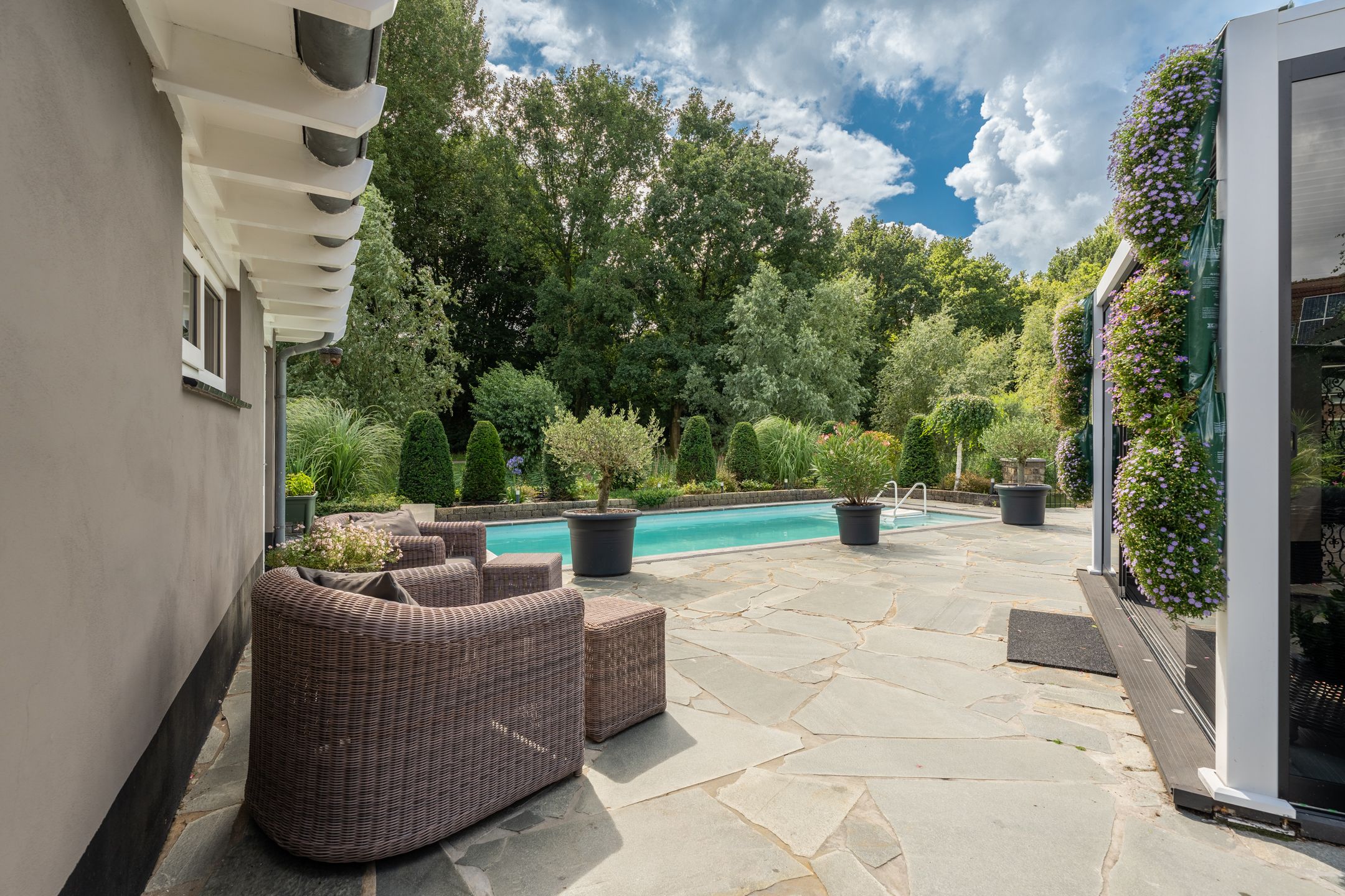 Foto 33 van Venusschelp 9