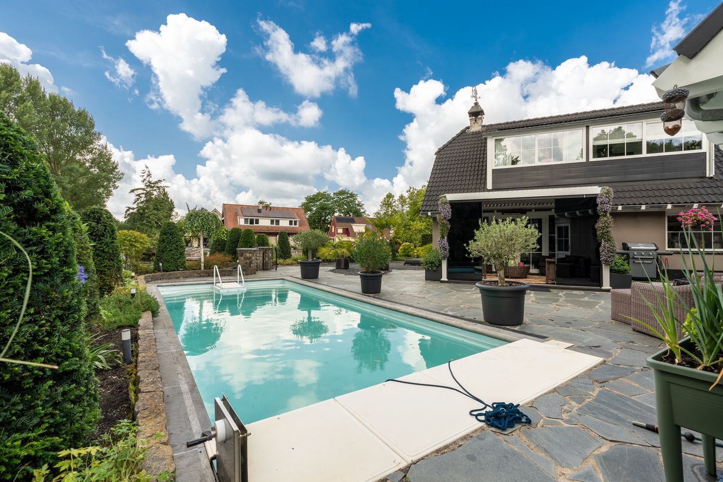 Foto 34 van Venusschelp 9