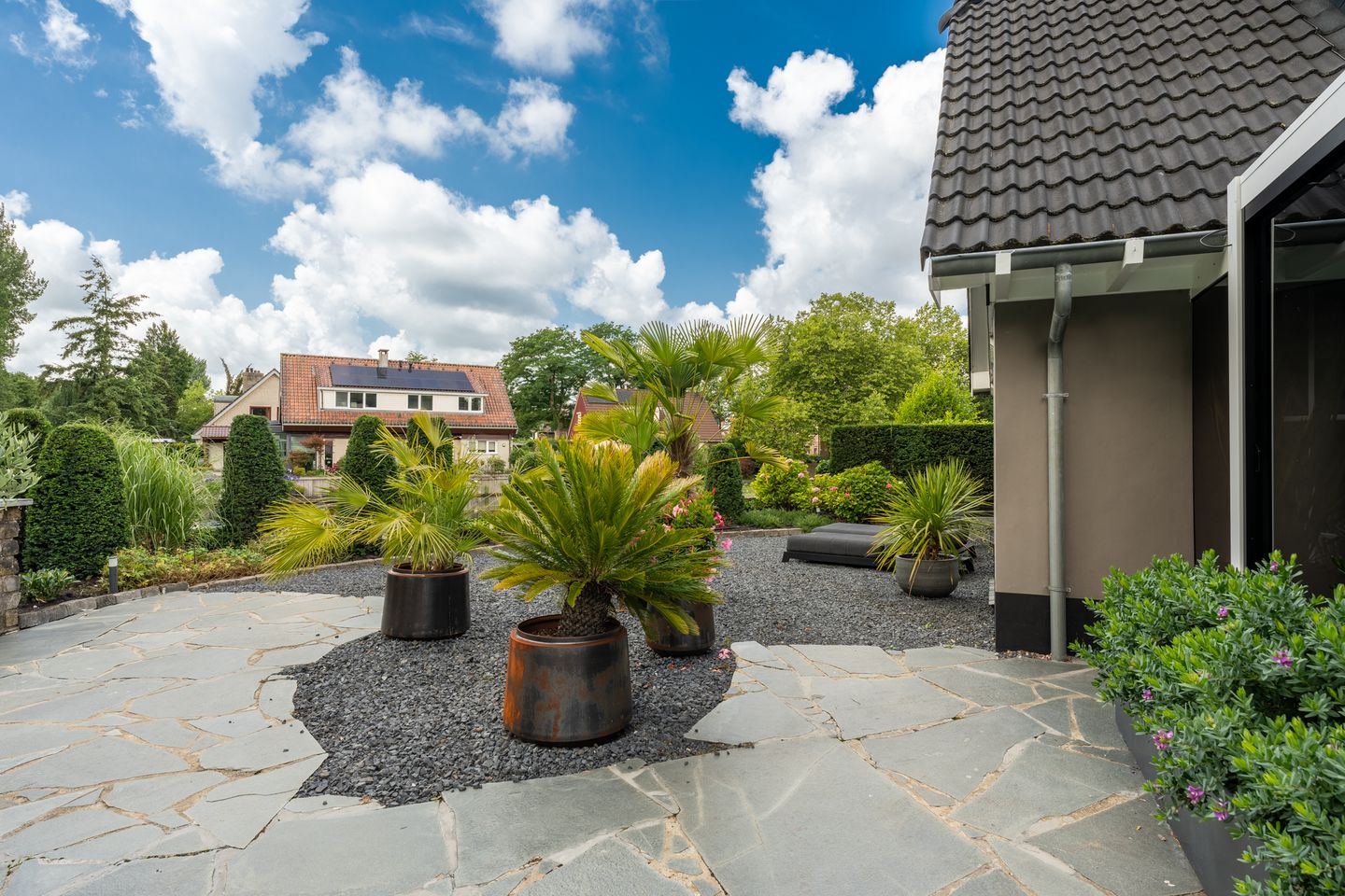 Foto 35 van Venusschelp 9