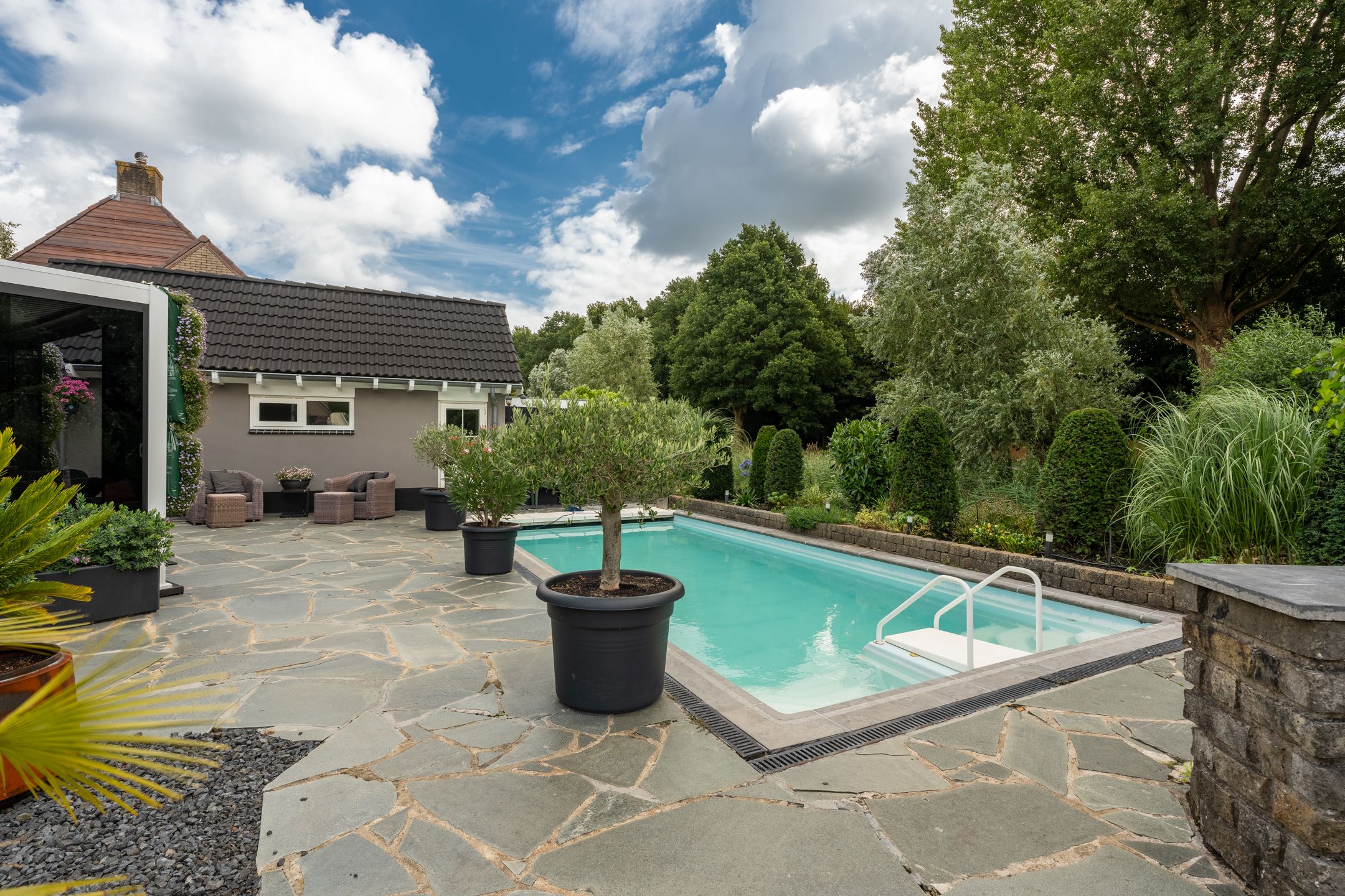 Foto 36 van Venusschelp 9