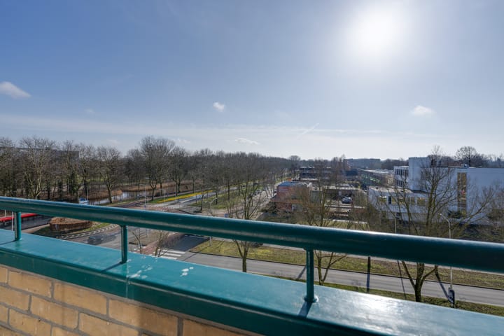 Foto 4 van Spaansgroenstraat 46