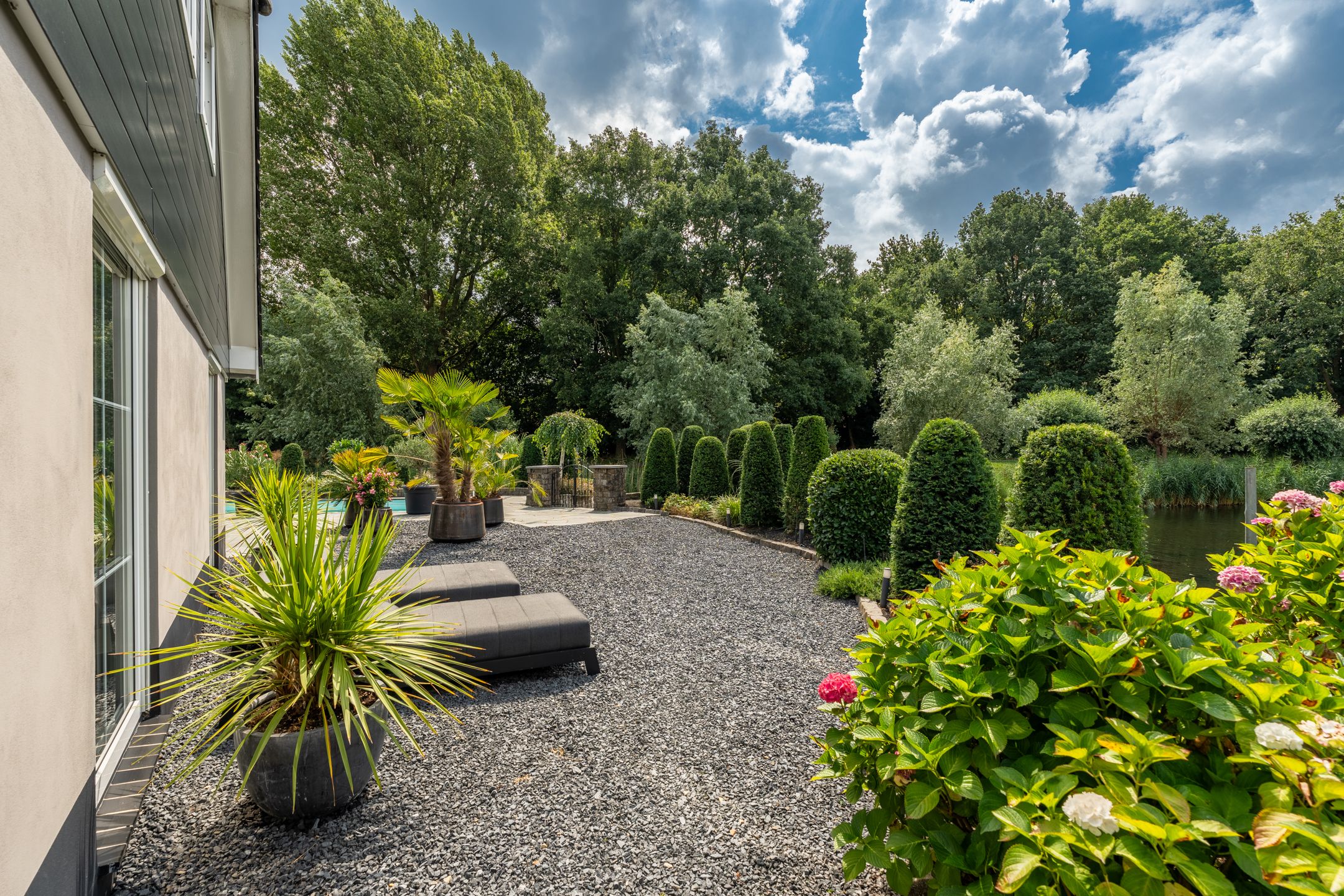 Foto 39 van Venusschelp 9