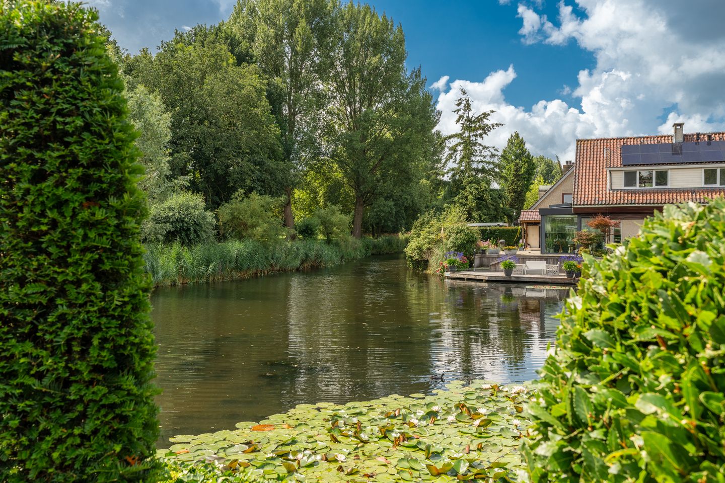 Foto 40 van Venusschelp 9