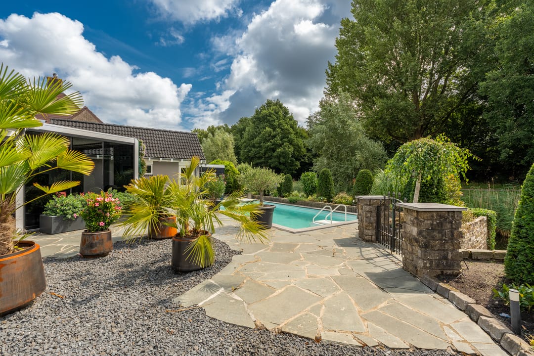 Foto 41 van Venusschelp 9