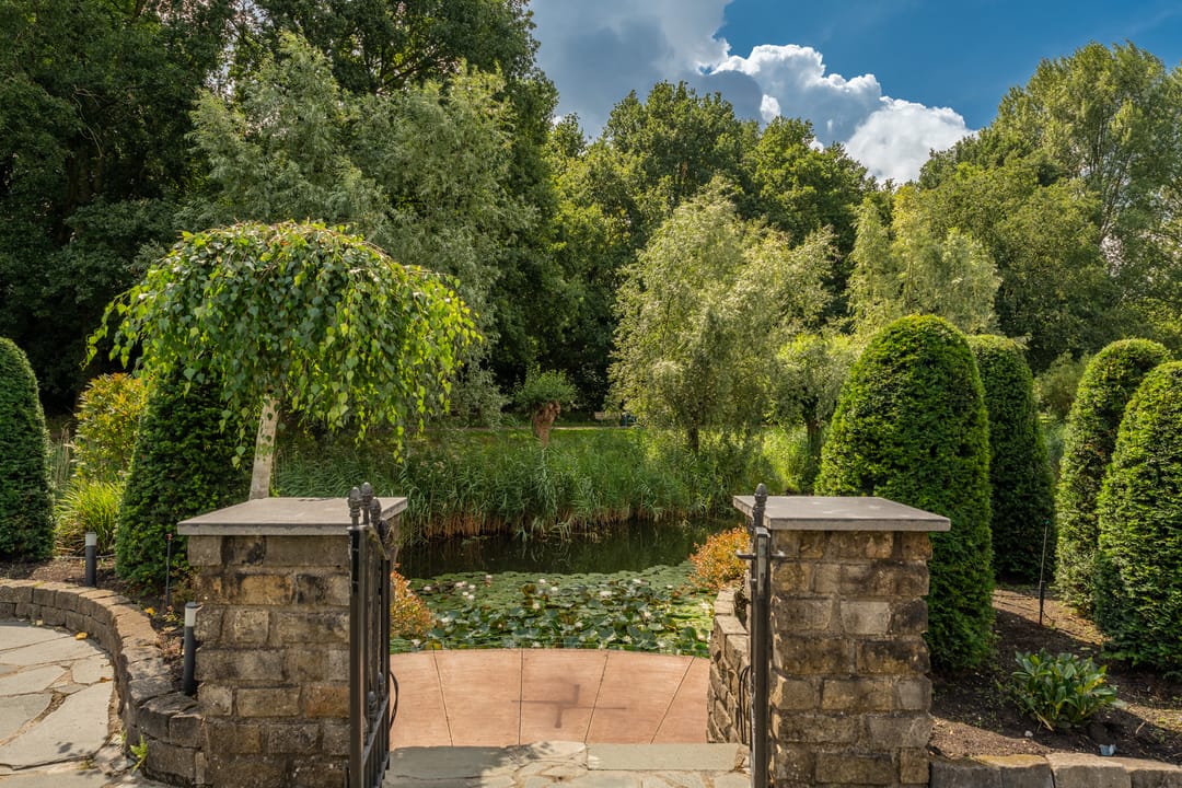 Foto 43 van Venusschelp 9