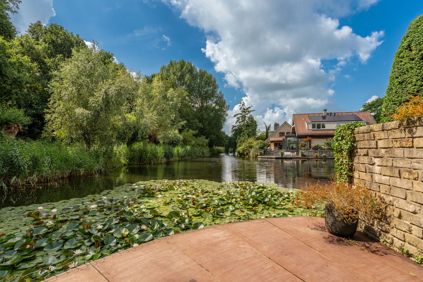 Foto 44 van Venusschelp 9