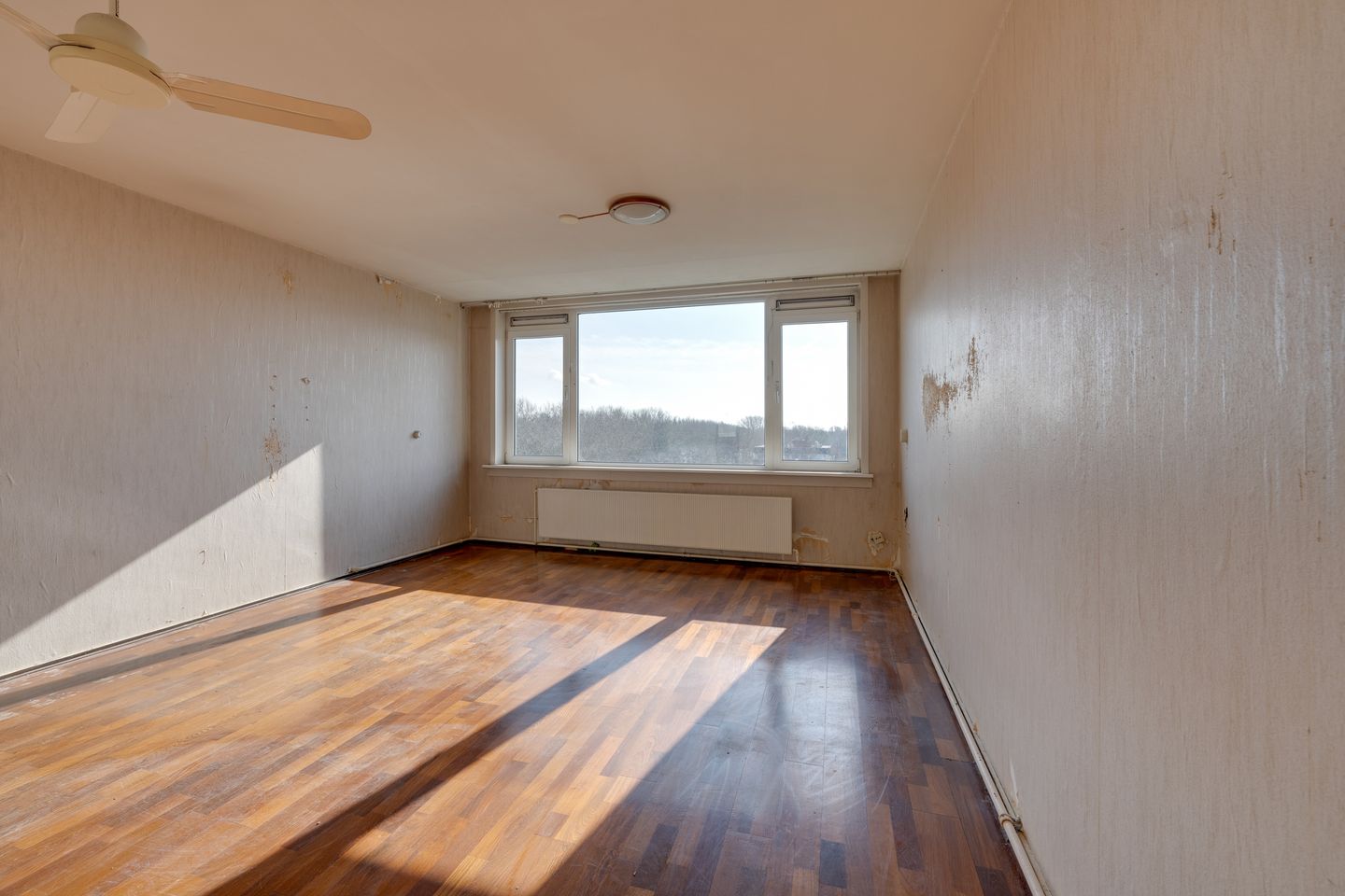 Foto 10 van Spaansgroenstraat 46