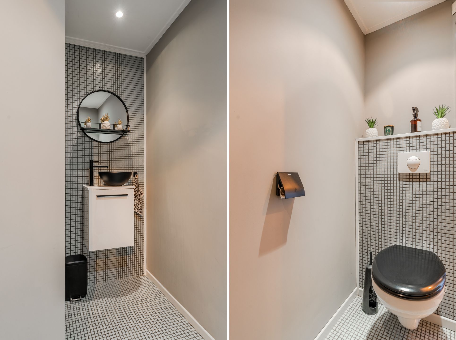 Foto 51 van Venusschelp 9