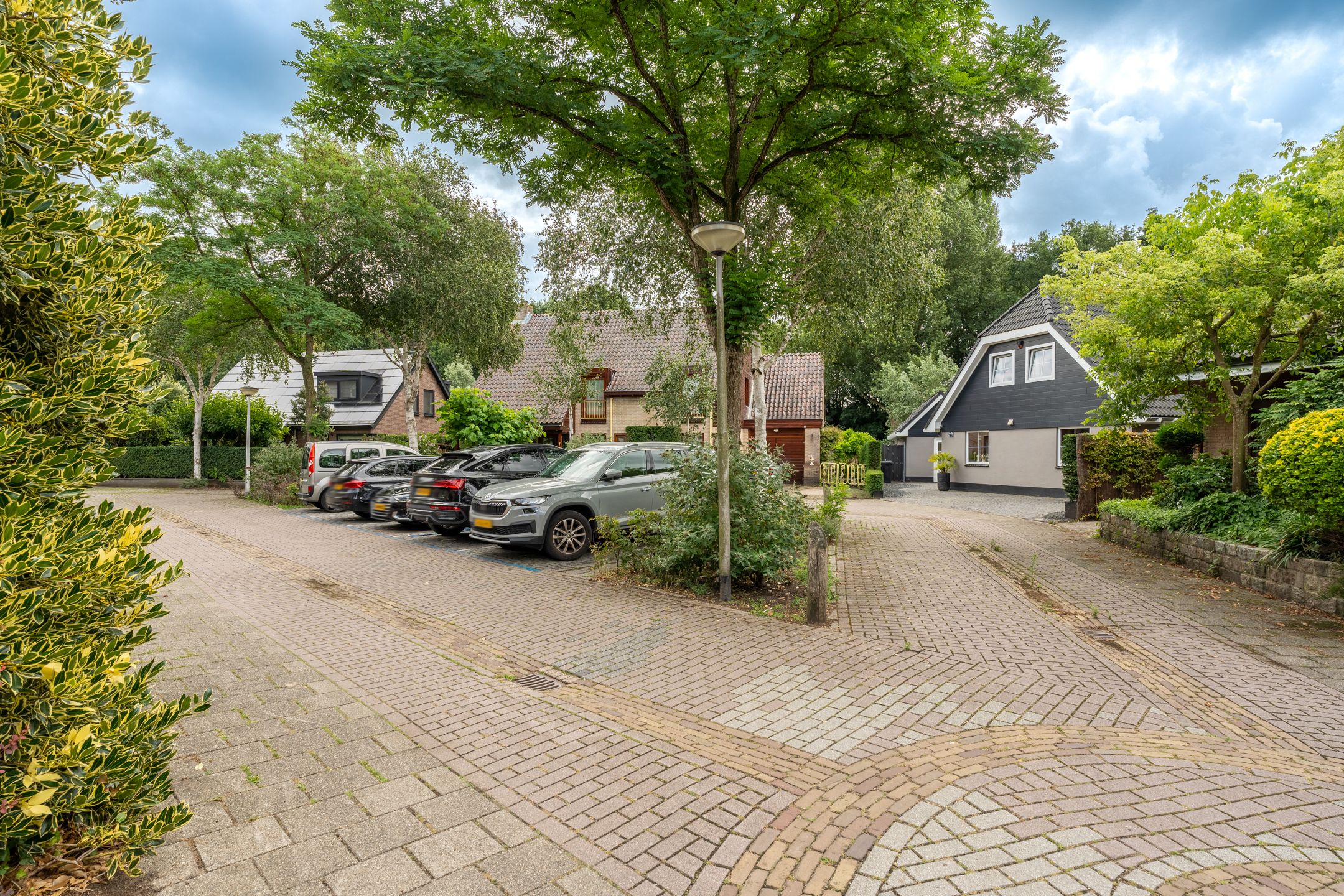 Foto 69 van Venusschelp 9