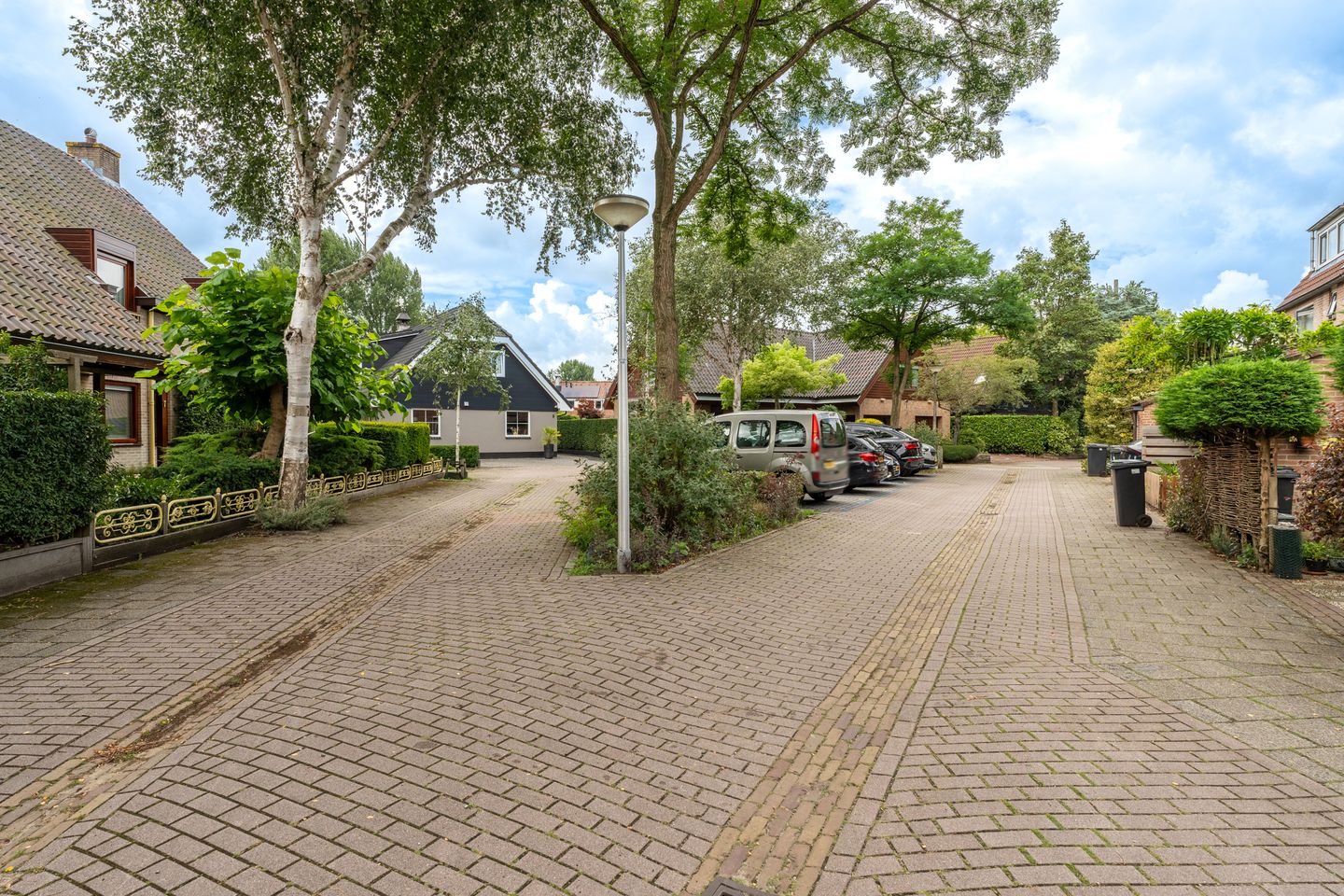 Foto 70 van Venusschelp 9