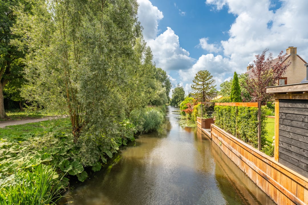 Foto 71 van Venusschelp 9