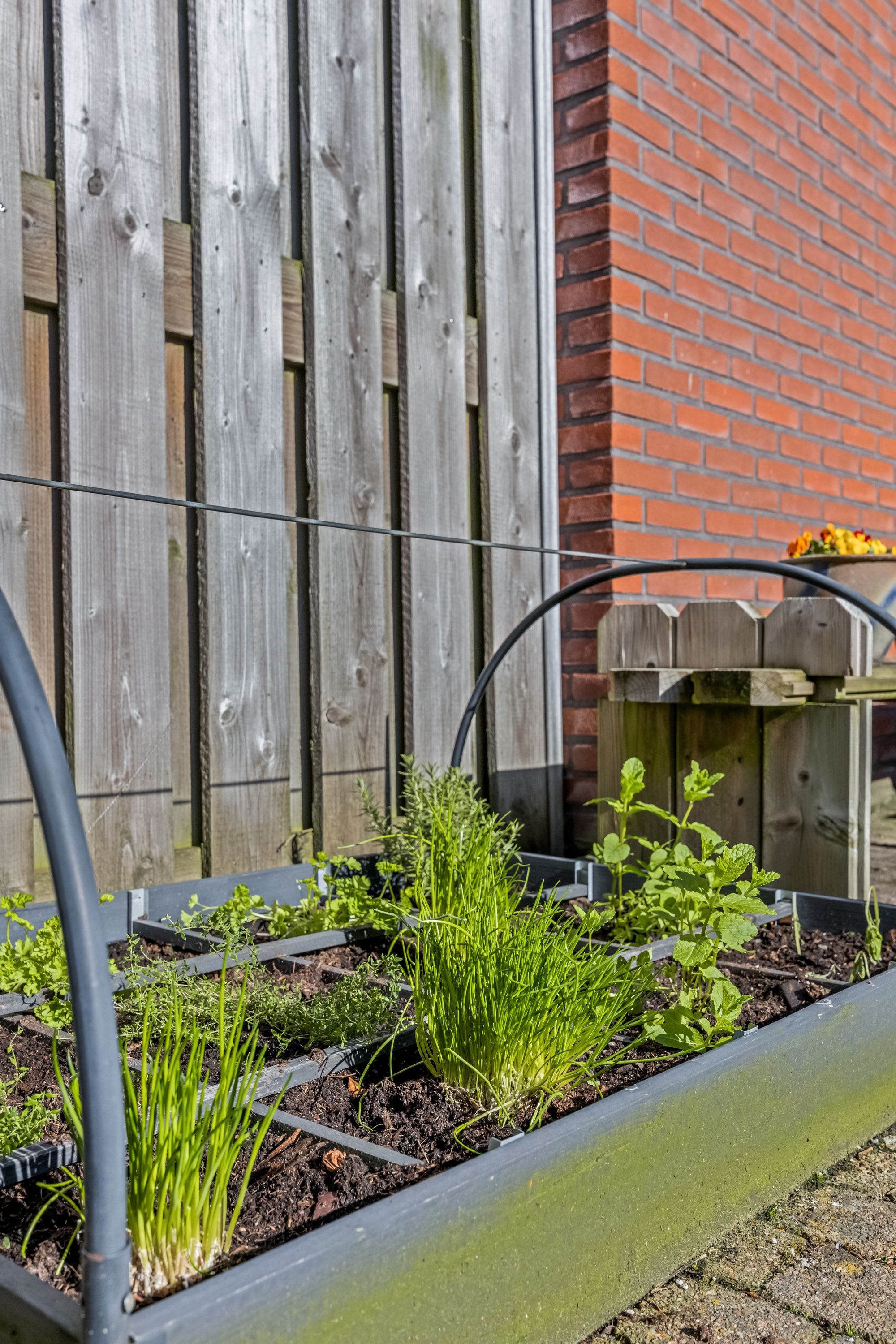 Photo 48 of Schaapsweg 31