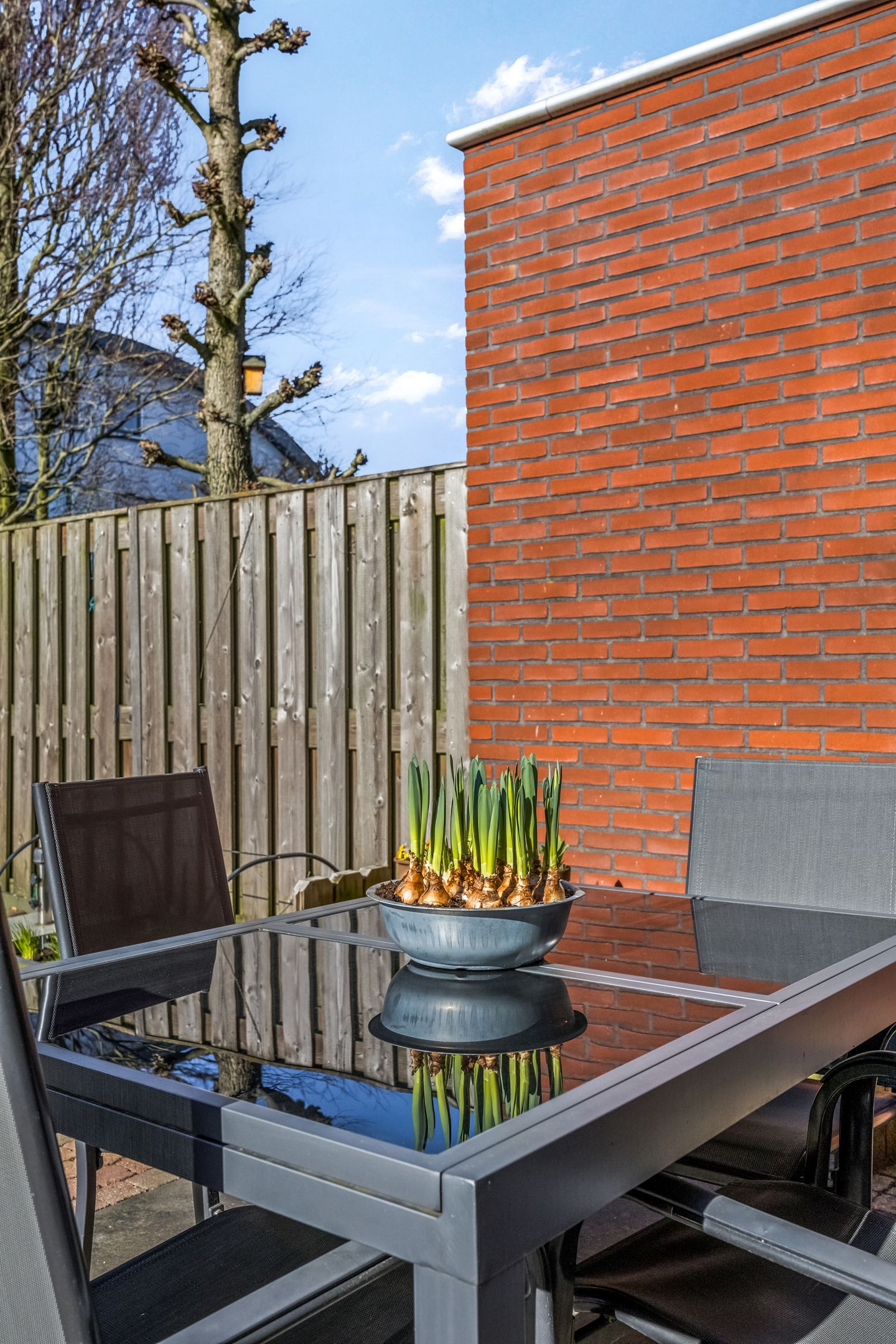 Photo 49 of Schaapsweg 31