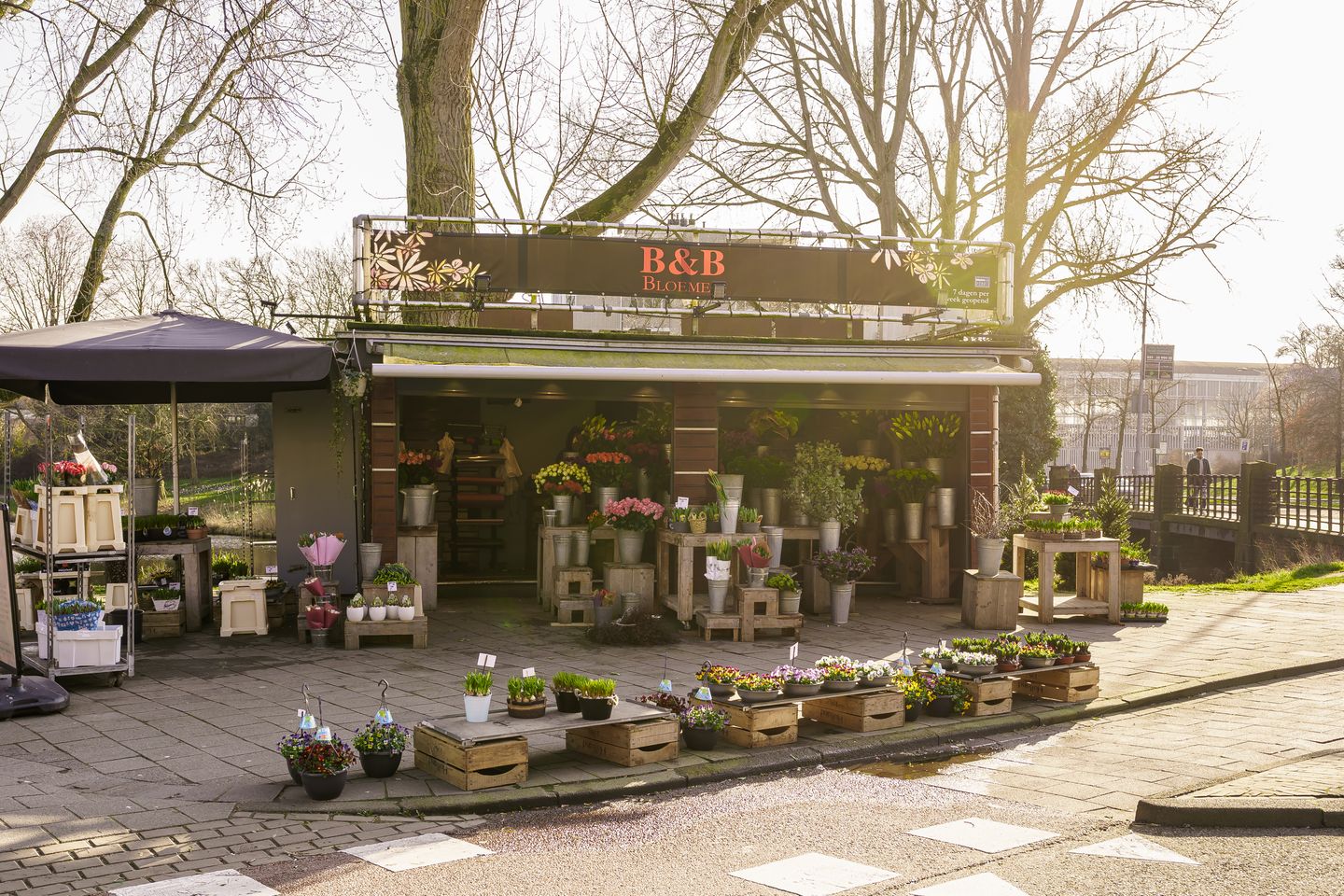 Foto 34 van Zocherstraat 2-K