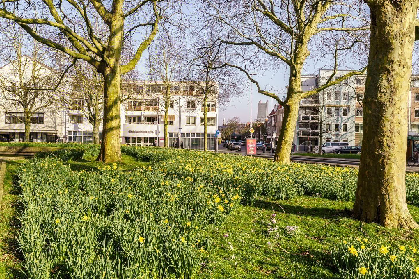 Foto 35 van Zocherstraat 2-K