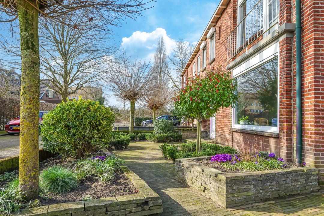 Foto 8 van Iepenlaan 4