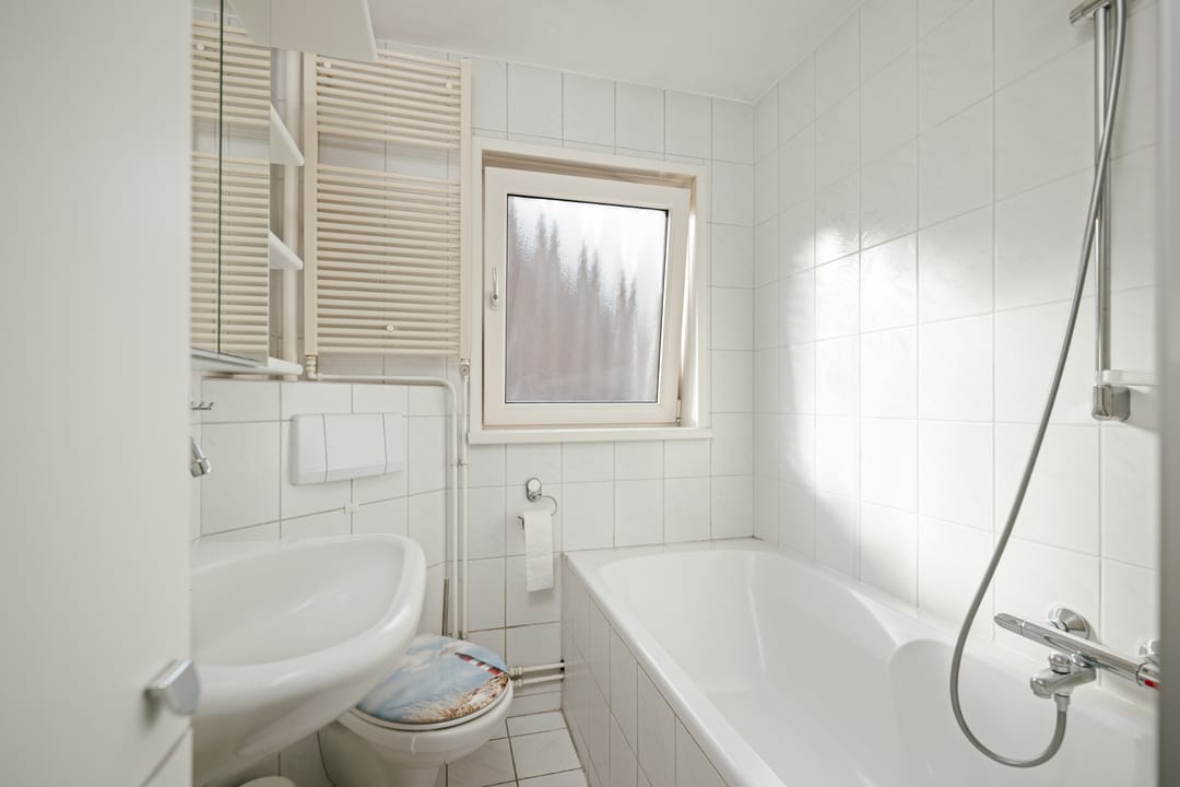 Foto 28 van Prinses Ireneweg 4