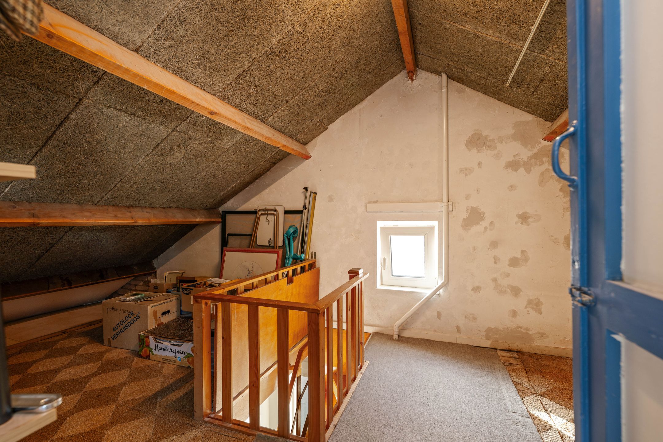 Foto 36 van Prinses Ireneweg 4