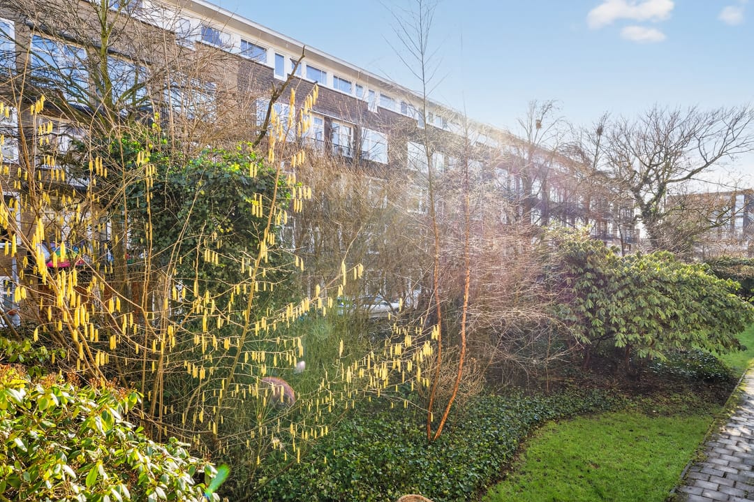 Foto 17 van Heer Halewijnstraat 16-H