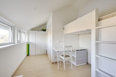 Beukenhout 24 tertiary image