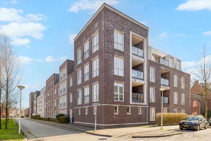 Coelhorst 18 main image