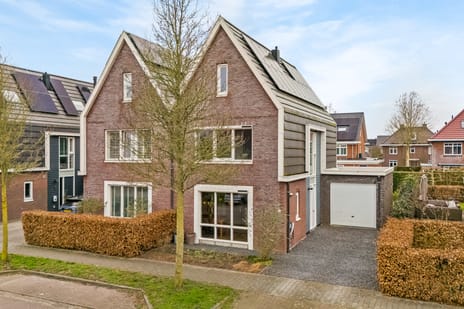 Reinier Roeststraat thumbnail