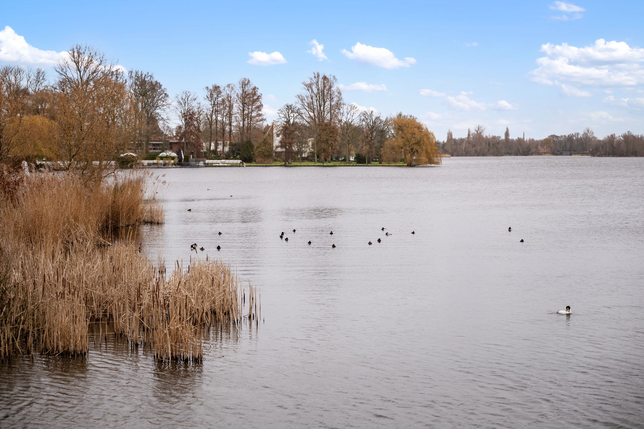 Foto 27 van Straatweg 154