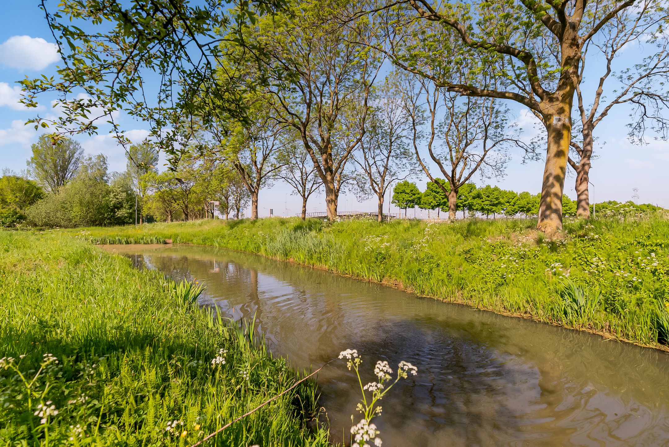 Foto 42 van De Bleken 19