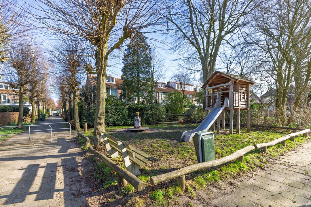 Foto 41 van Paulus Potterlaan 46