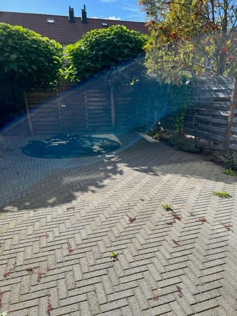 Foto 2 van Perebloesem 43