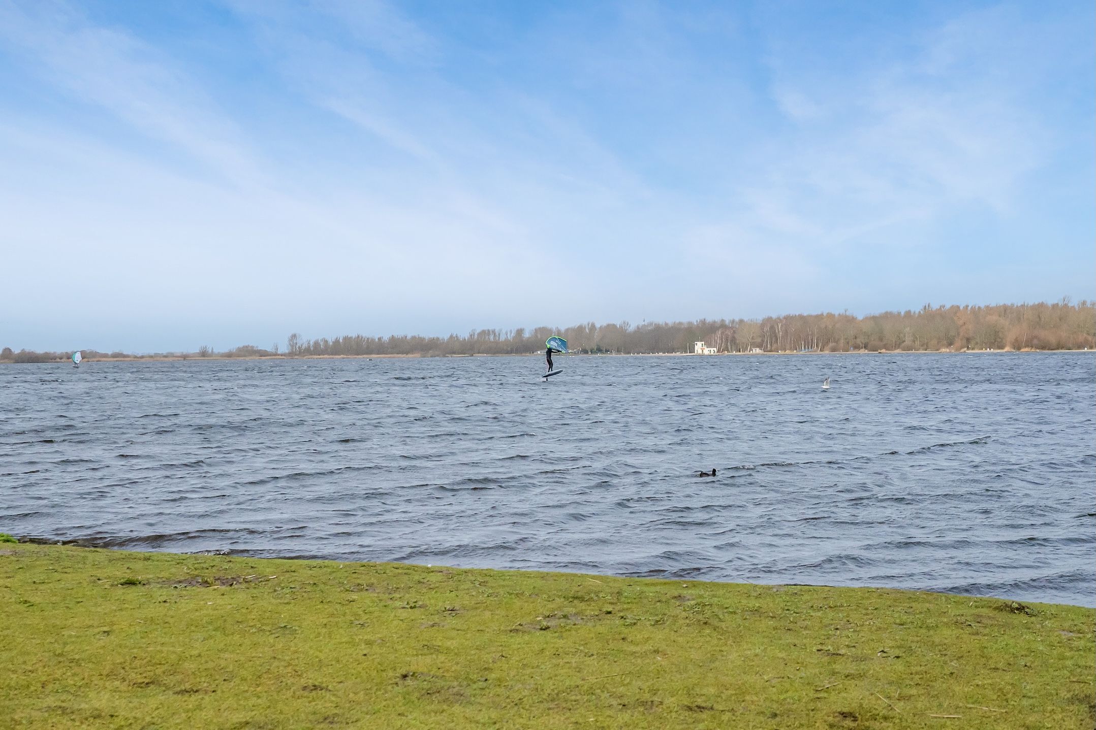 Photo 51 of Behrenslijn 19