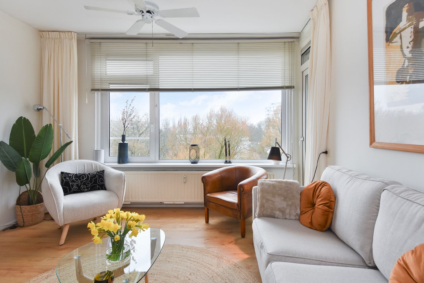 Photo 10 of Norenburg 207