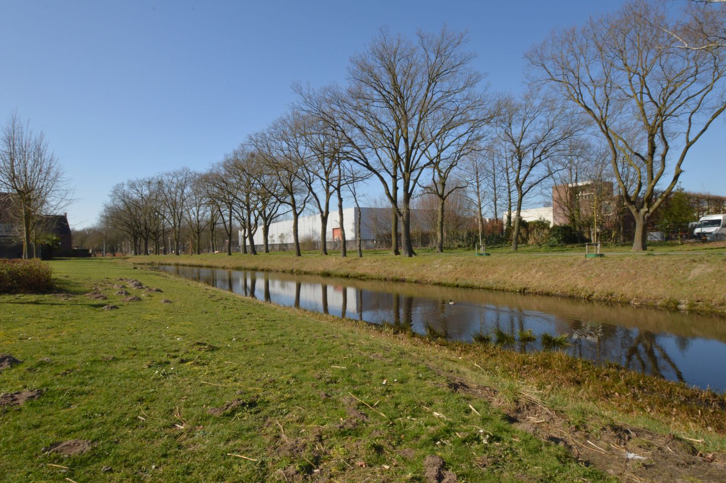 Photo 35 of Rietven 60