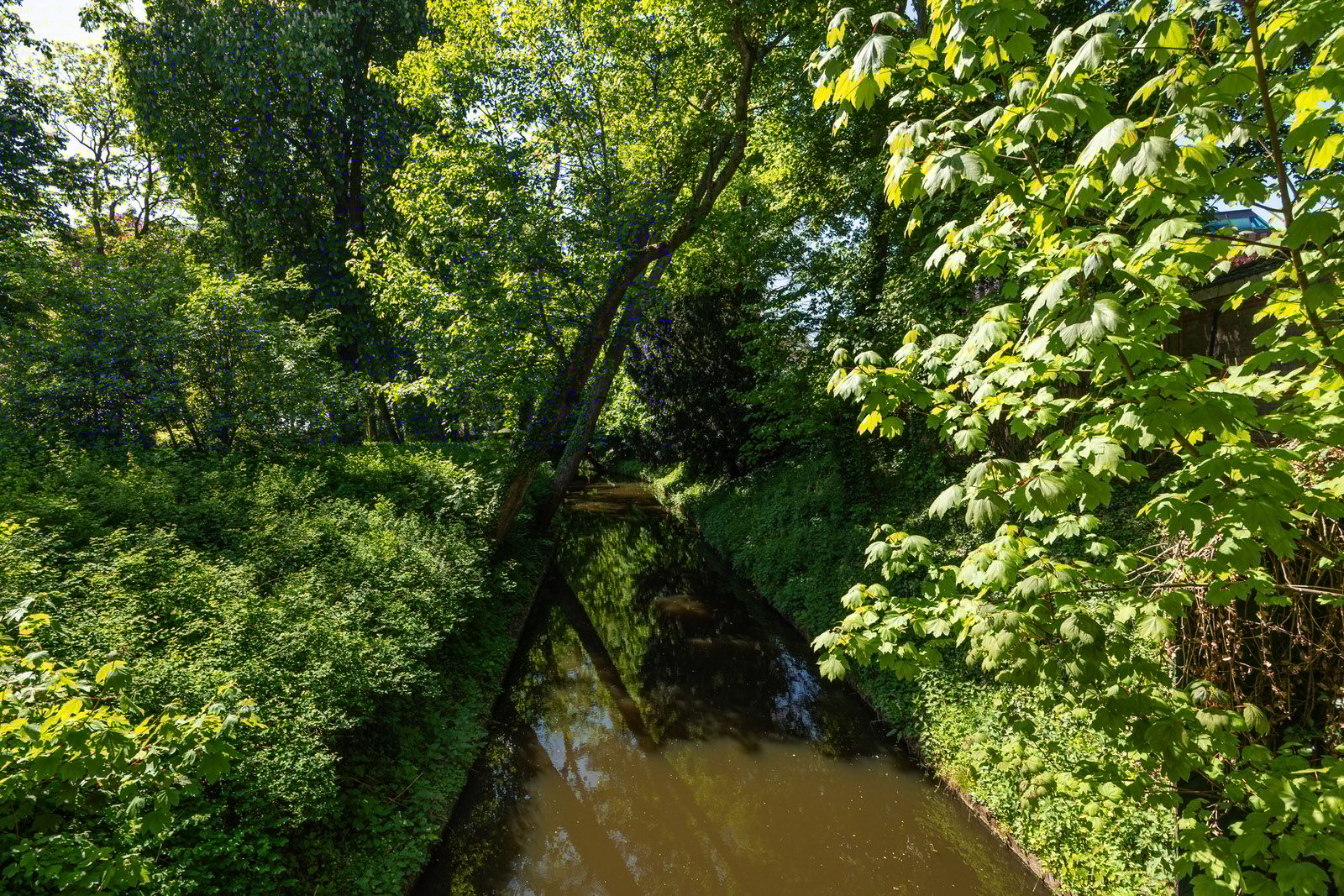 Photo 39 of Choorstraat 6