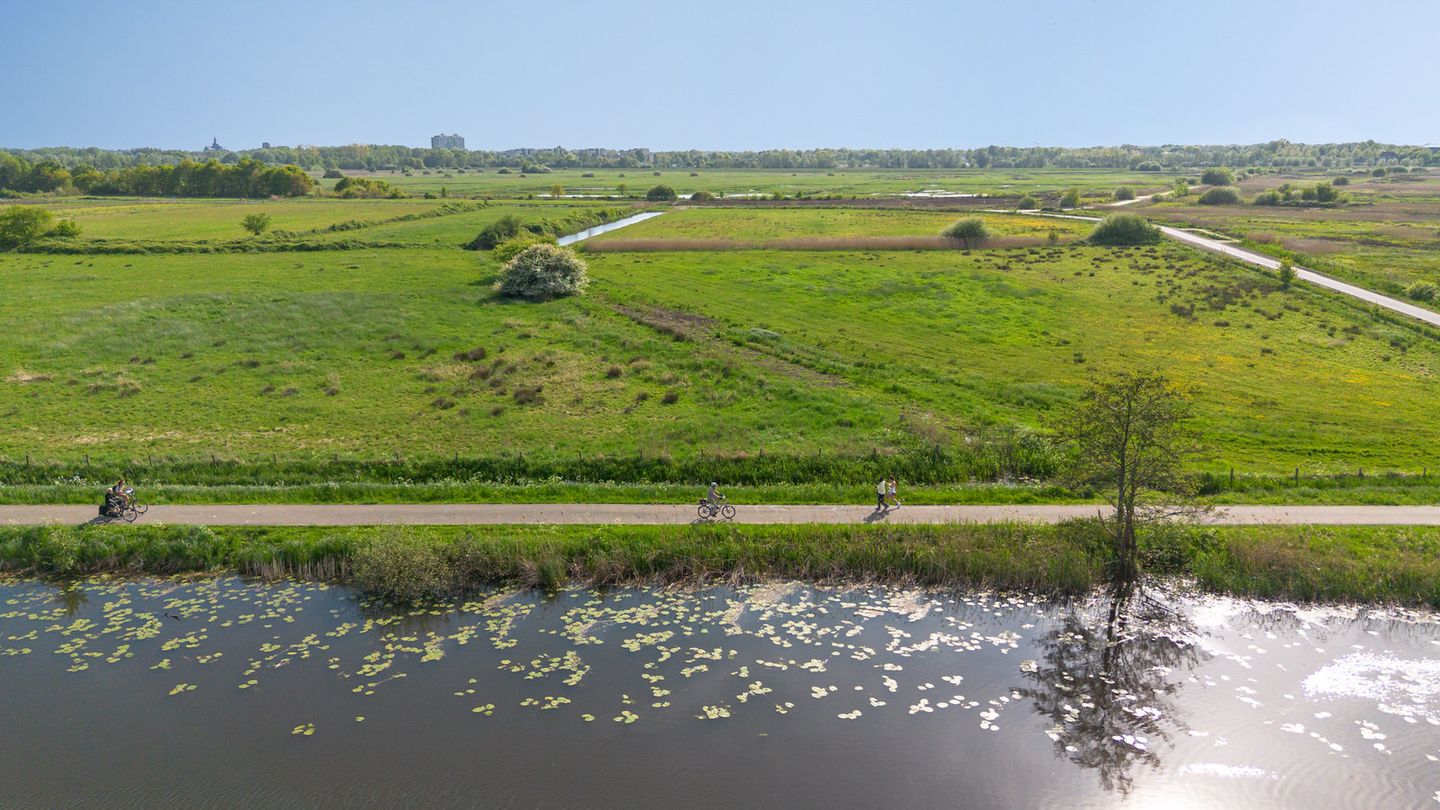 Photo 40 of Choorstraat 6