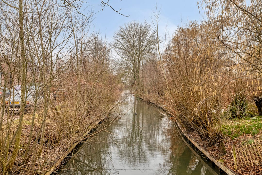 Photo 61 of Amalia van Solmsstraat 51