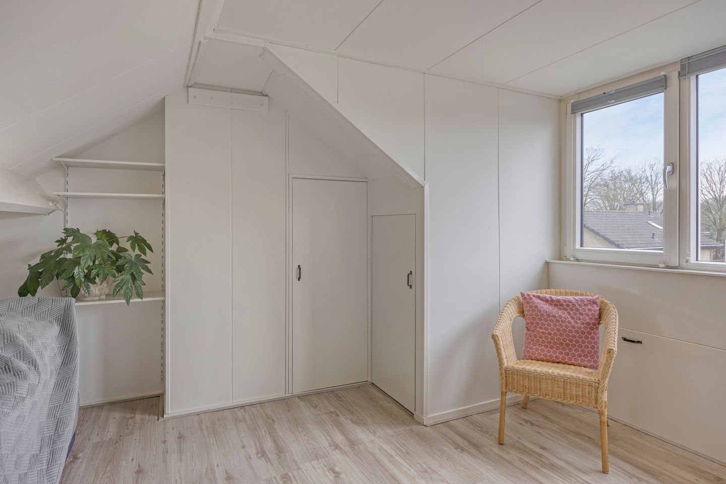 Foto 19 van van Laarstraat 8