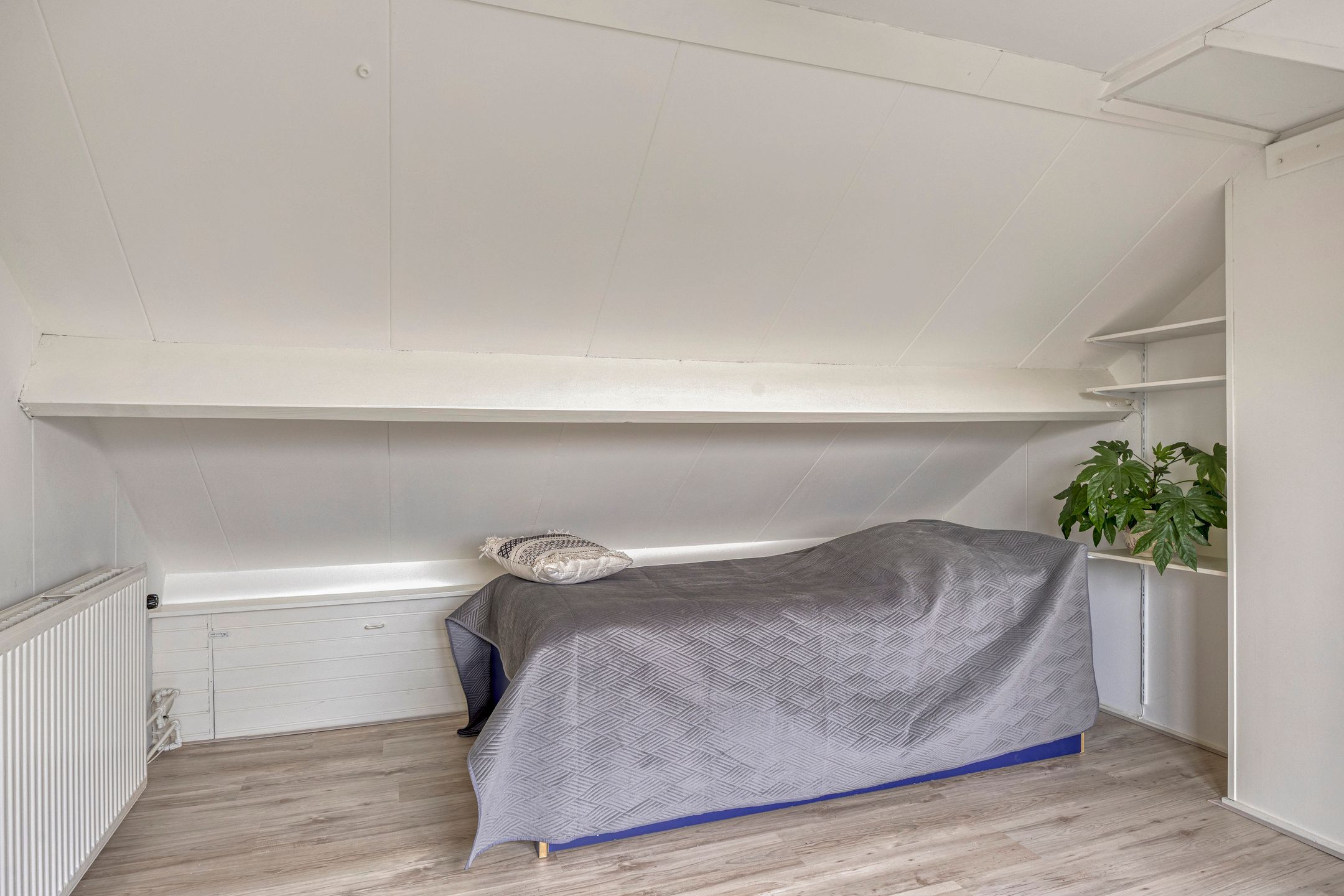 Foto 21 van van Laarstraat 8