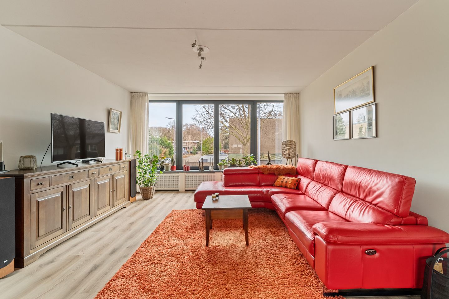 Foto 10 van Passiebloem 9