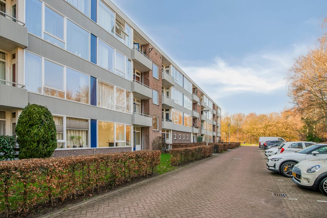 Photo 37 of Ruusbroecstraat 161