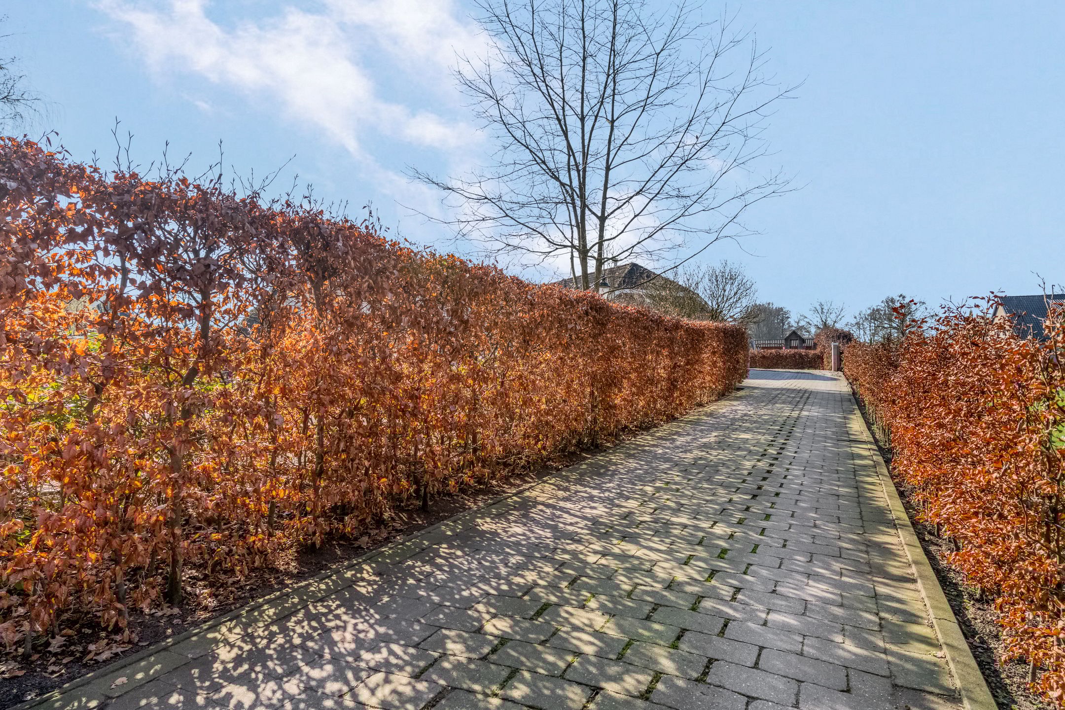 Foto 66 van Nieuwe Steeg 14-B