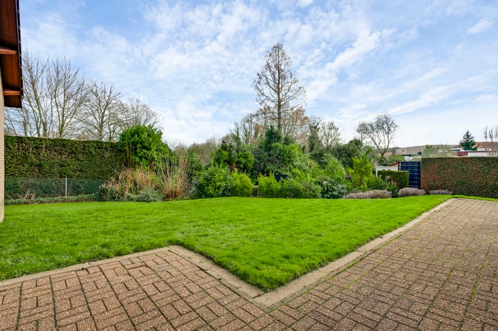 Photo 3 of Musschenberg 115