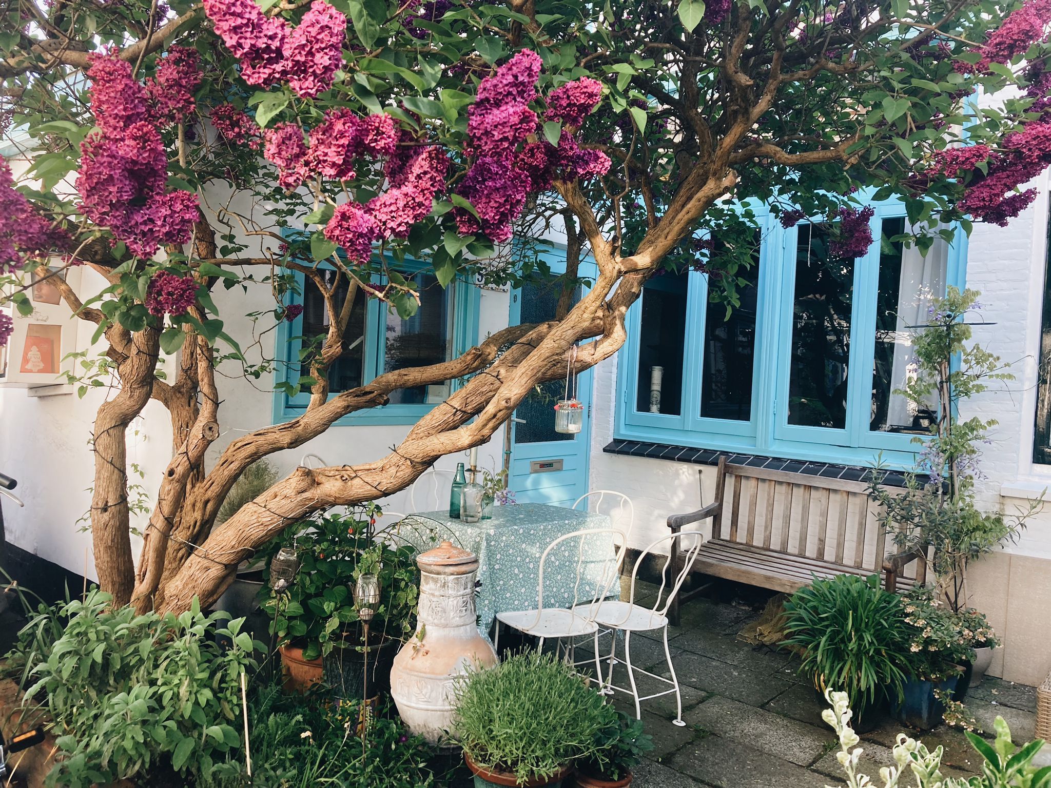 Photo 6 of Prins Hendrikstraat 55-3