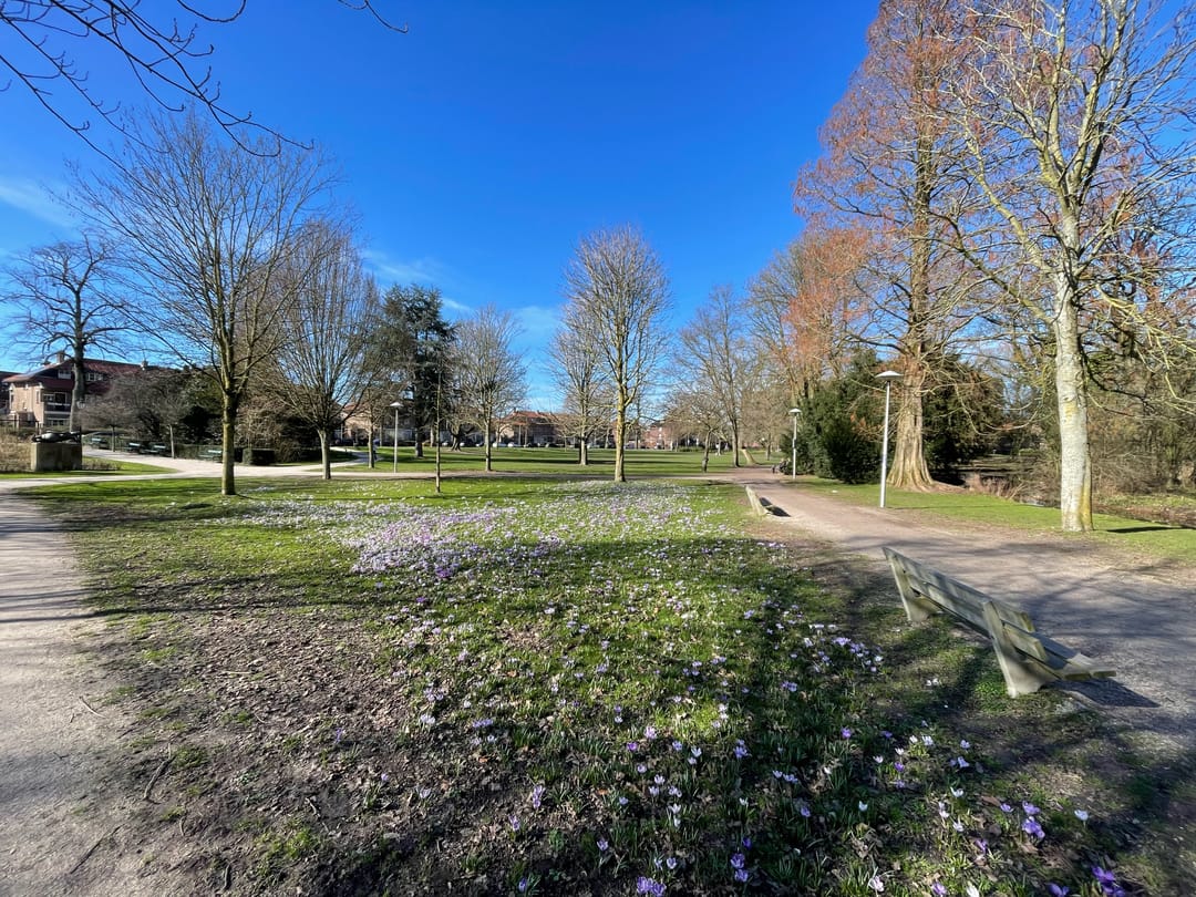 Foto 46 van Beethovenlaan 17